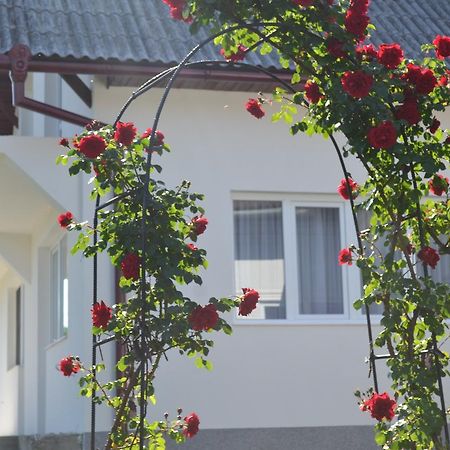 Gasthaus Casa Maria Prundul Birgaului Exterior foto