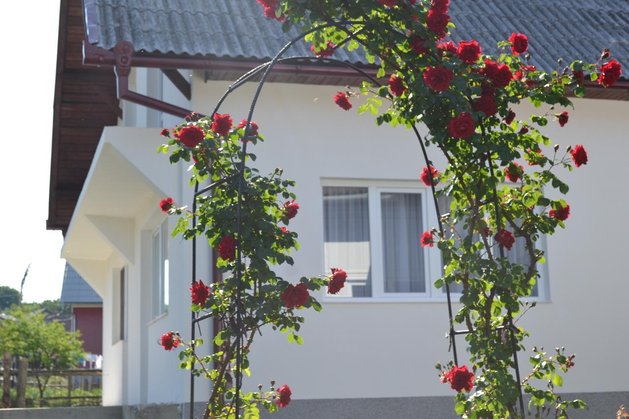 Gasthaus Casa Maria Prundul Birgaului Exterior foto